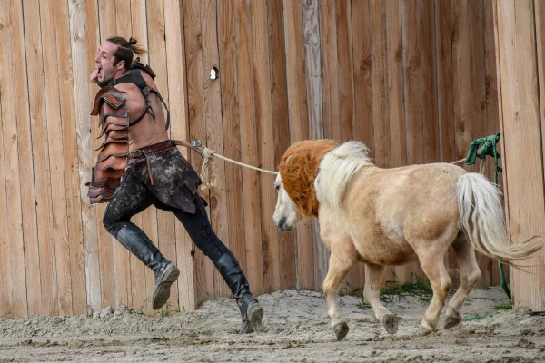 10.000 ans l‘homme et le cheval - Bonjour Fun