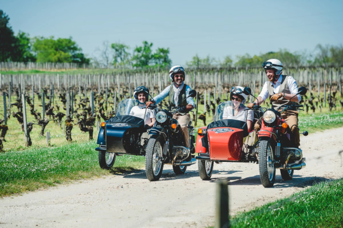 2 en 1: Visite de Bordeaux et excursion dans un vignoble - Bonjour Fun