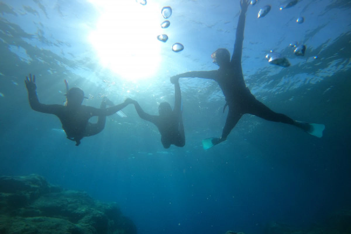 20 000 vies sous la Mer, l'école de la découverte - Bonjour Fun