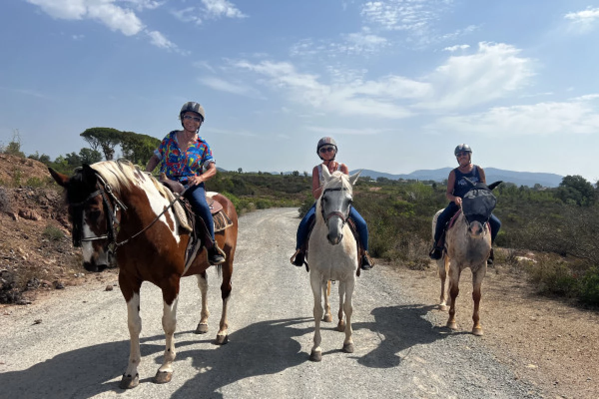 2h de balade à cheval dans le massif de l'Esterel - Bonjour Fun