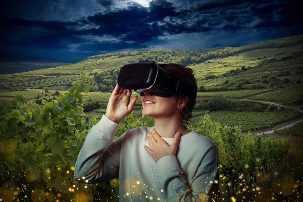 Immersion en Réalité Virtuelle 360° - Bonjour Fun