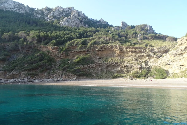 4. Excursion en bateau pour observer les dauphins - Bonjour Fun