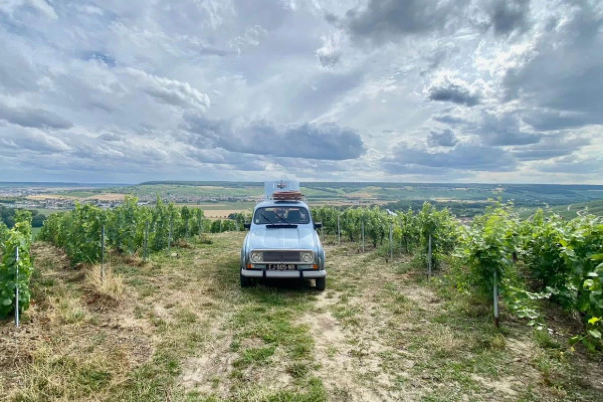 4L ou 2CV Champagne Tour au départ d'Epernay - Bonjour Fun