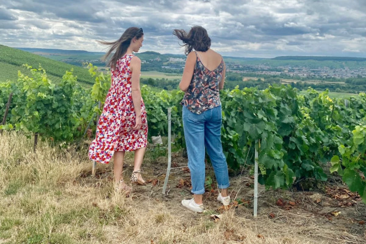 4L ou 2CV Champagne Tour au départ d'Epernay - Bonjour Fun