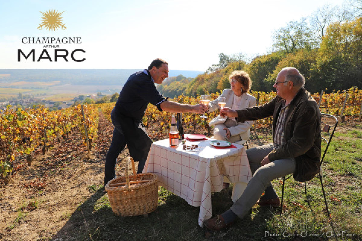 Expériences Sensorielles Vigneronnes - Bonjour Fun