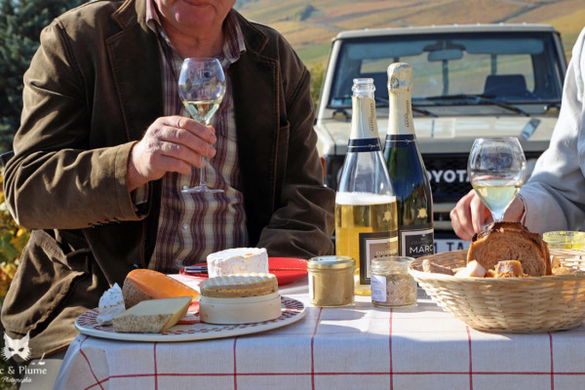 Expériences Sensorielles Vigneronnes - Bonjour Fun