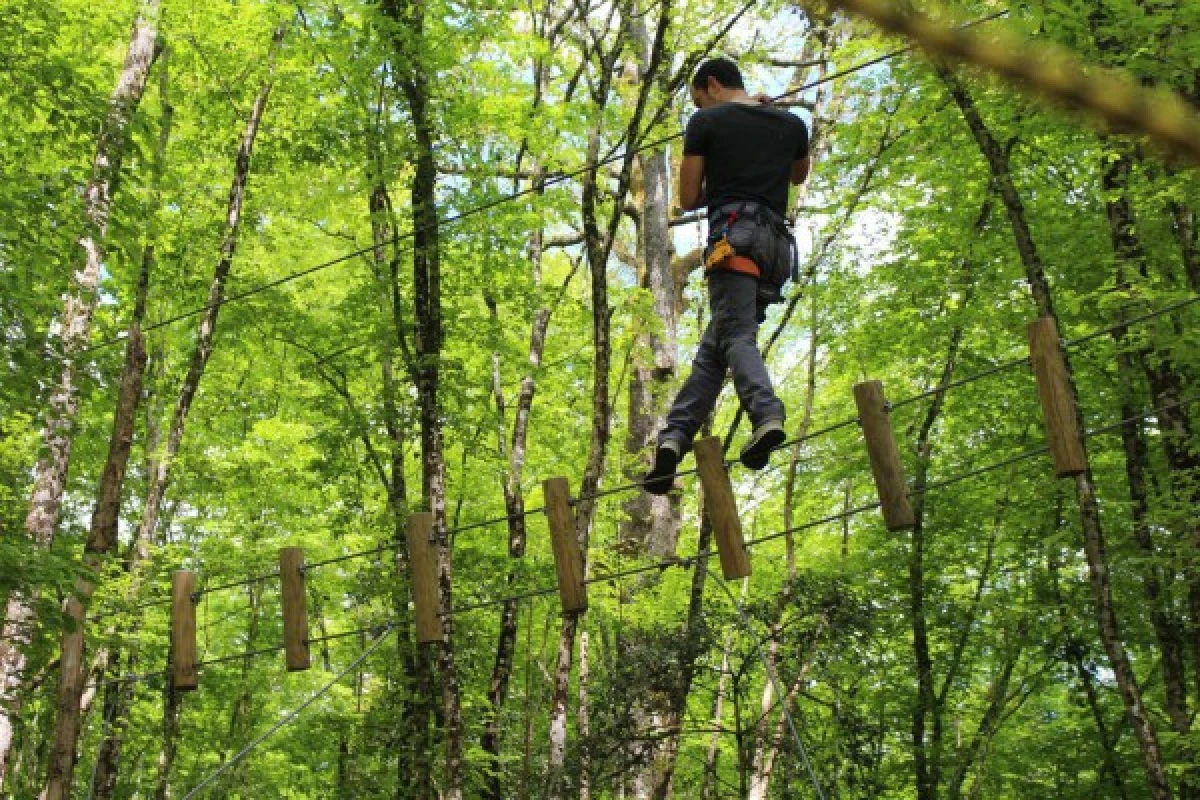 Accrobranche Parc Aventure de Fontdouce - Bonjour Fun