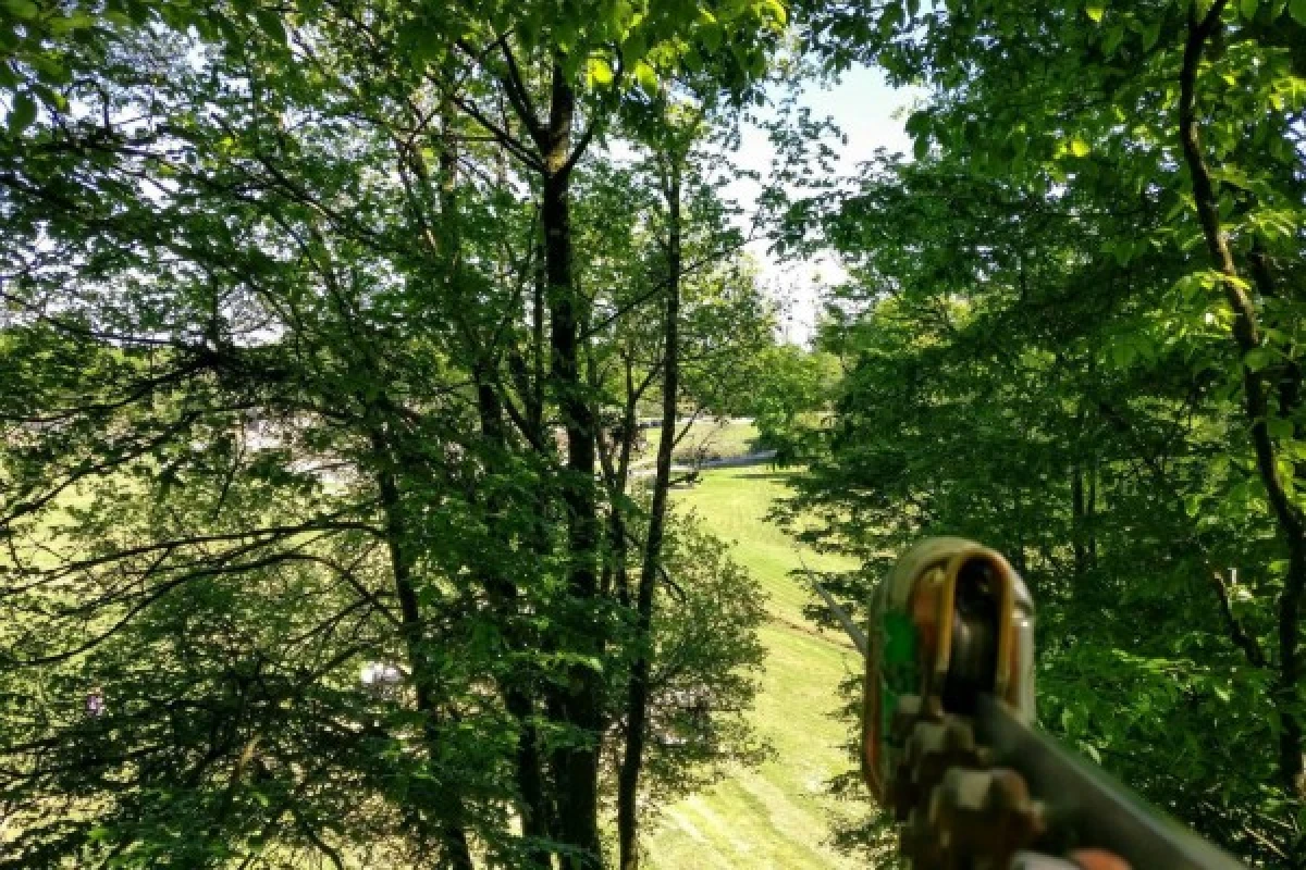 Accrobranche Parc Aventure de Fontdouce - Bonjour Fun