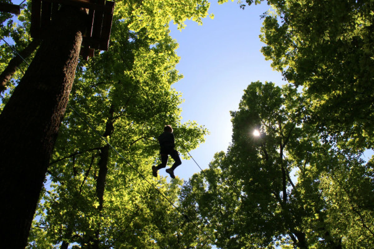 Accrobranche Parc Aventure de Fontdouce - Bonjour Fun