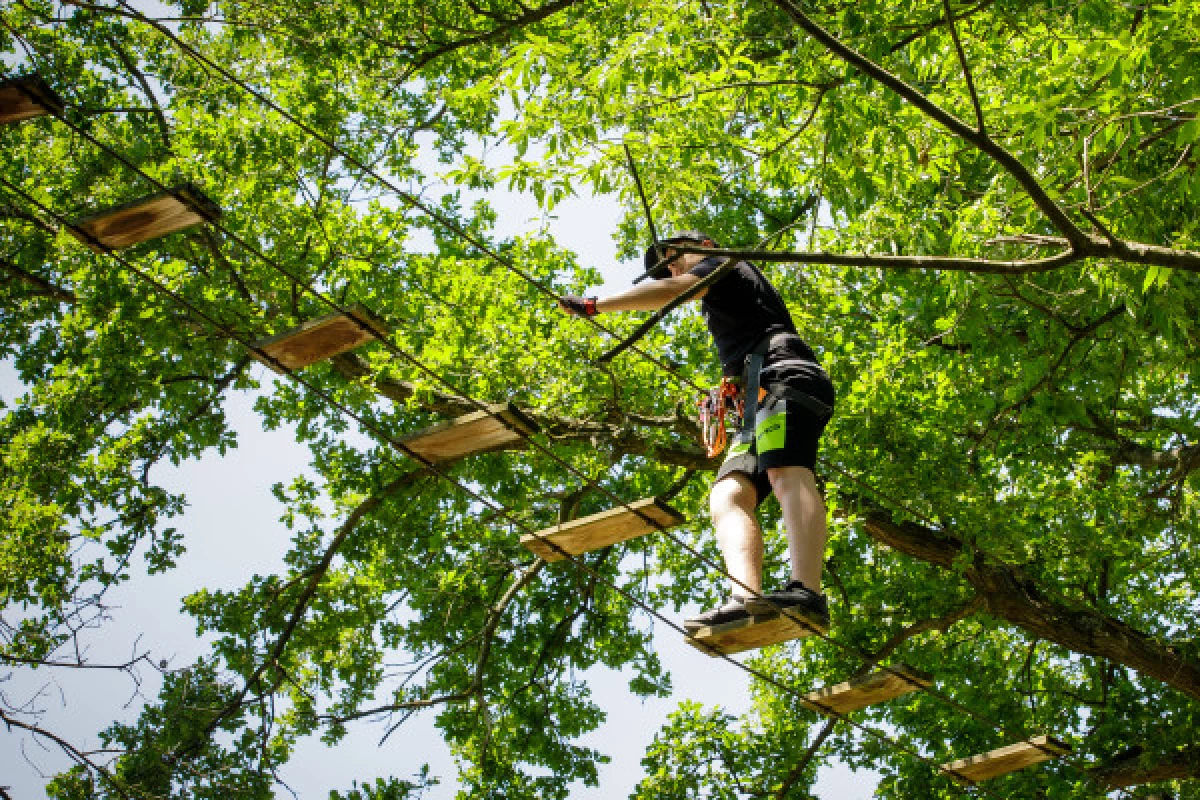 Accrobranche et tyroliennes – Fun Parc Brumath - Bonjour Fun