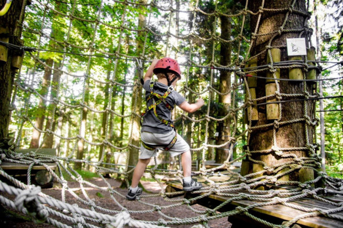 Accrobranche et tyroliennes - Parc Alsace Aventure - Bonjour Fun