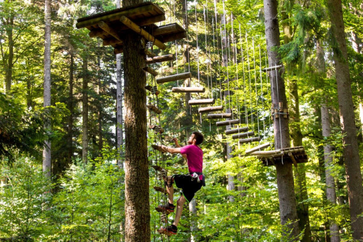 Accrobranche et tyroliennes - Parc Alsace Aventure - Bonjour Fun