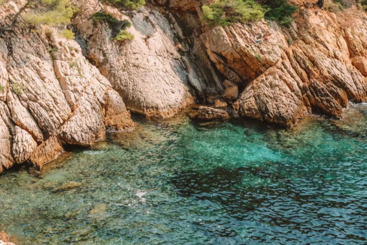 Croisière en après-midi, les Calanques secrètes du Parc marin de la Côte Bleue (RVD) - Bonjour Fun