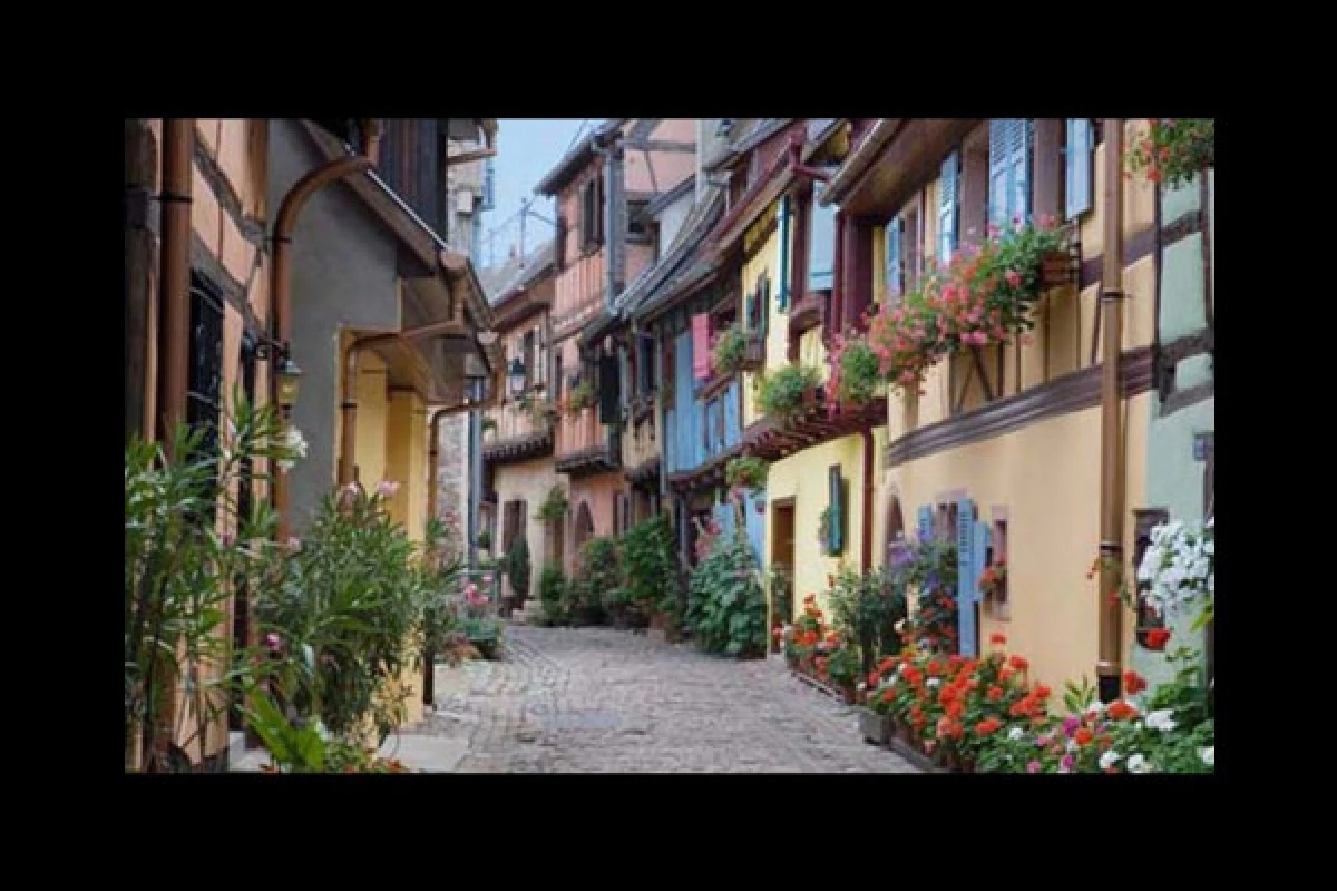 Alsace village and wine private group tour from Colmar - Bonjour Fun