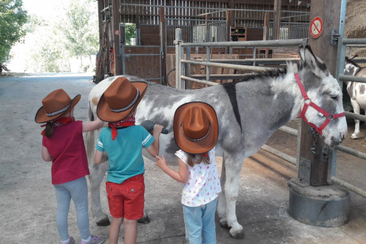 ANNIVERSAIRE A LA FERME - Bonjour Fun