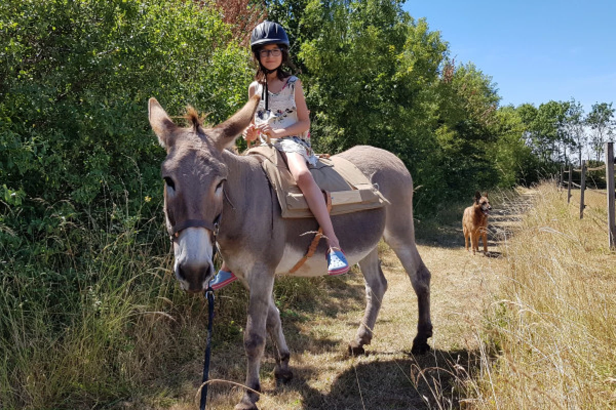 ANNIVERSAIRE A LA FERME - Bonjour Fun