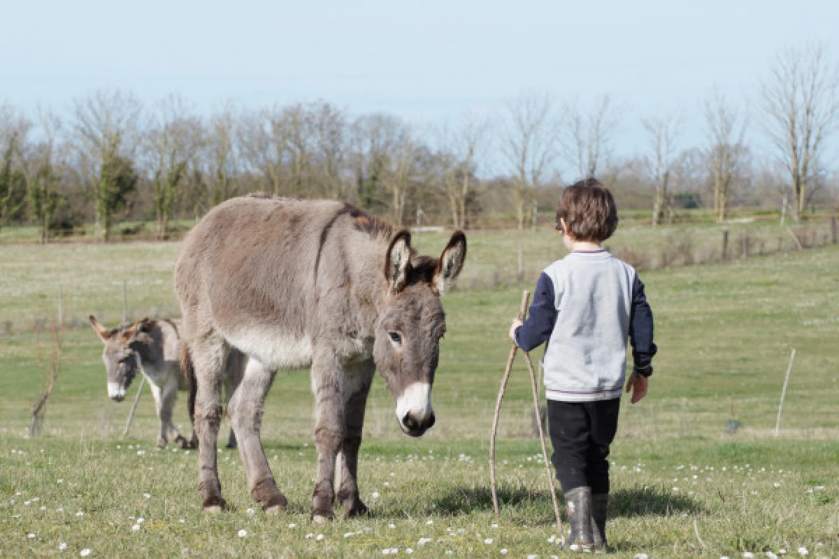 ANNIVERSAIRE A LA FERME - Bonjour Fun