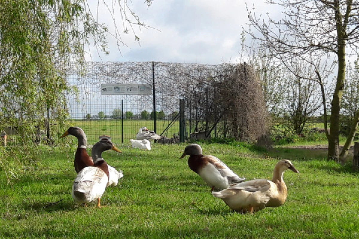 ANNIVERSAIRE A LA FERME - Bonjour Fun