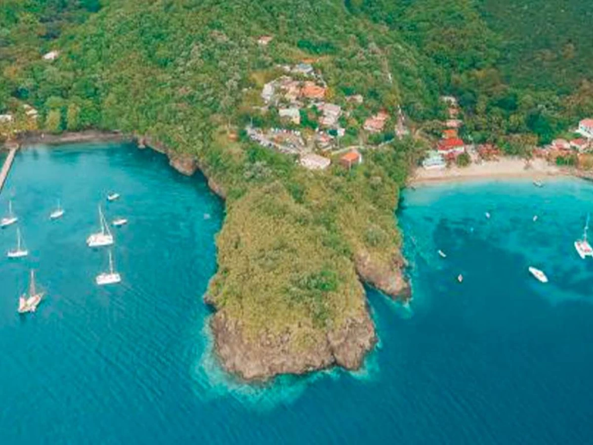 Anses du Grand Sud Caraïbe - Tortue - Bonjour Fun