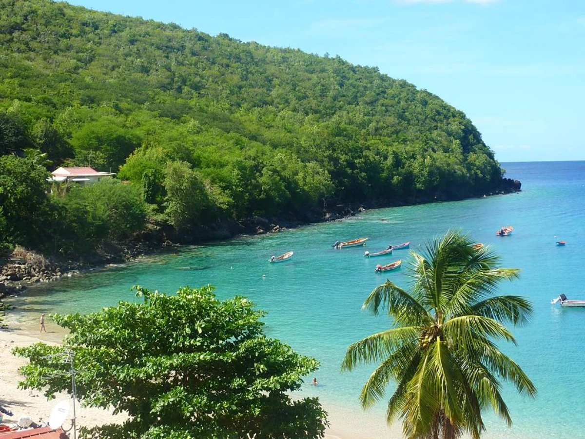 Anses du Grand Sud Caraïbe - Tortue - Bonjour Fun