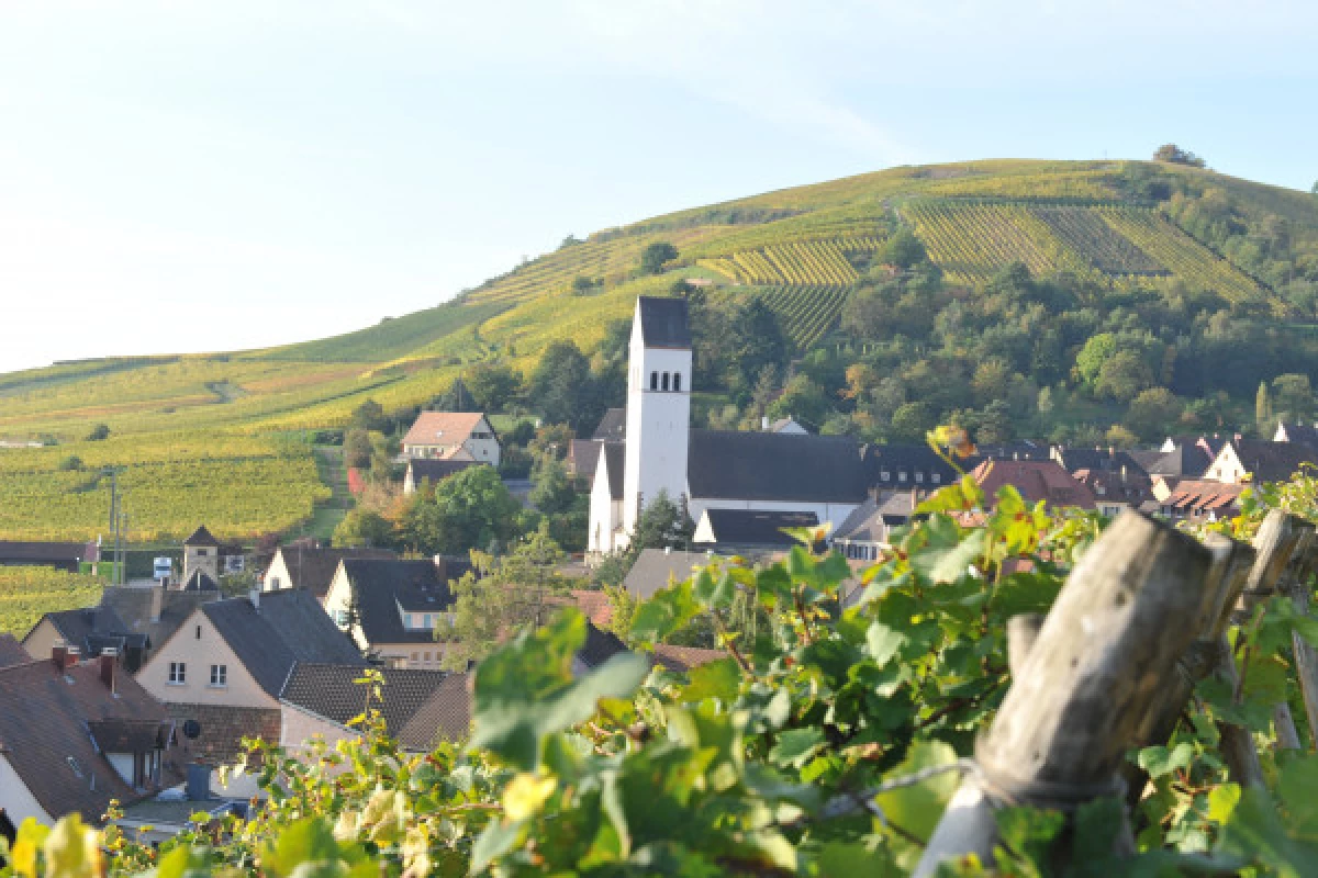 Apéro Planchette Alsacien et les secrets du vigneron ! - Bonjour Fun