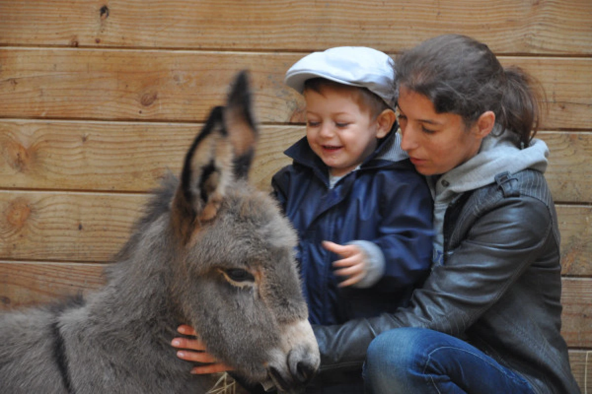 Atelier "BEBE FERMIER" 0-4ans - Bonjour Fun