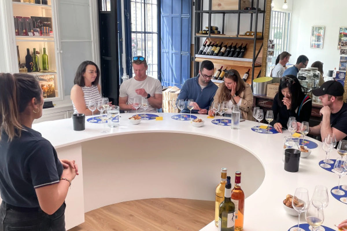 Atelier dégustation "Initiation aux vins de Bordeaux" - Bonjour Fun