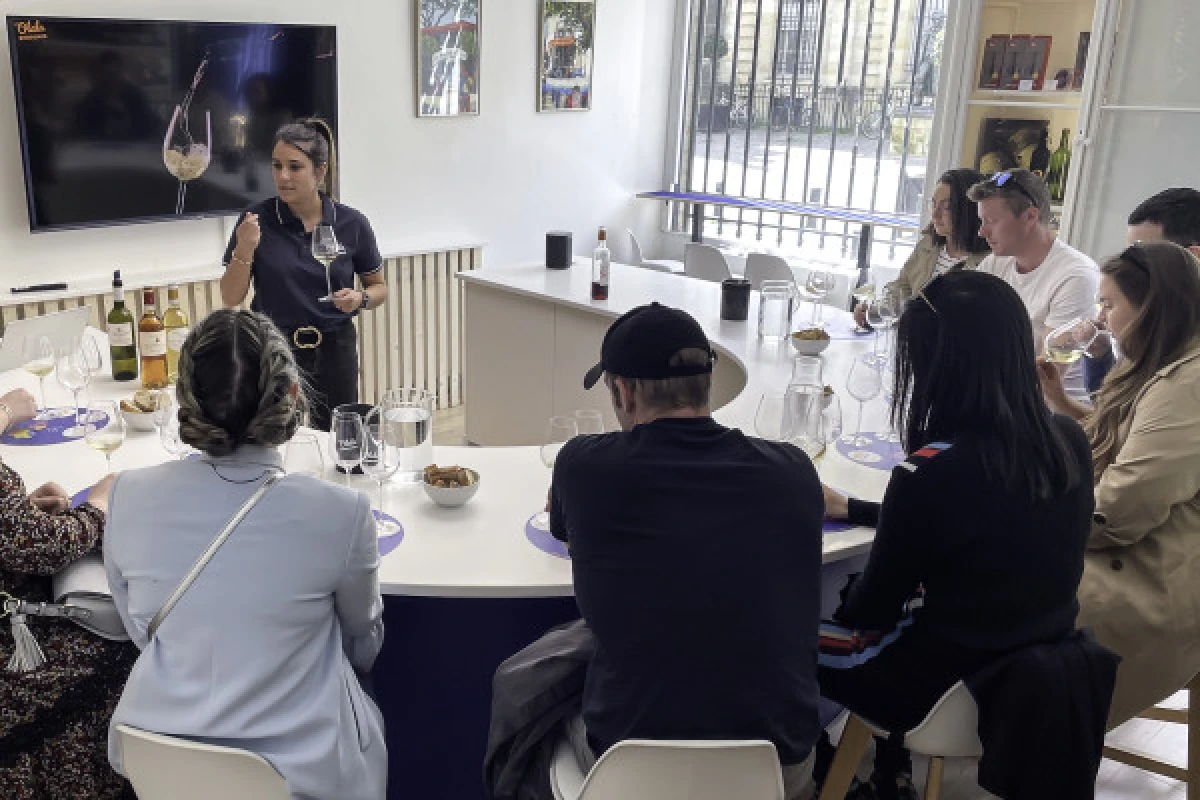 Atelier dégustation "Initiation aux vins de Bordeaux" - Bonjour Fun