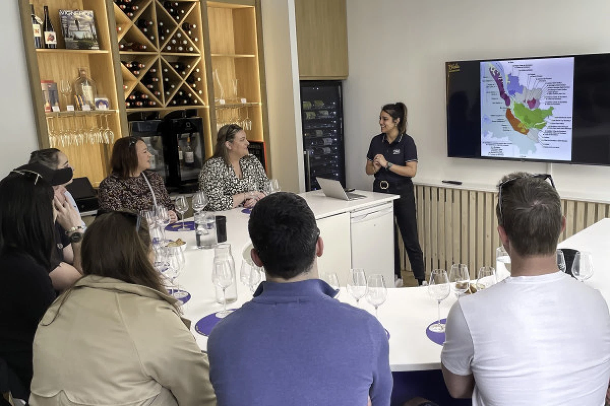 Atelier dégustation "Initiation aux vins de Bordeaux" - Bonjour Fun