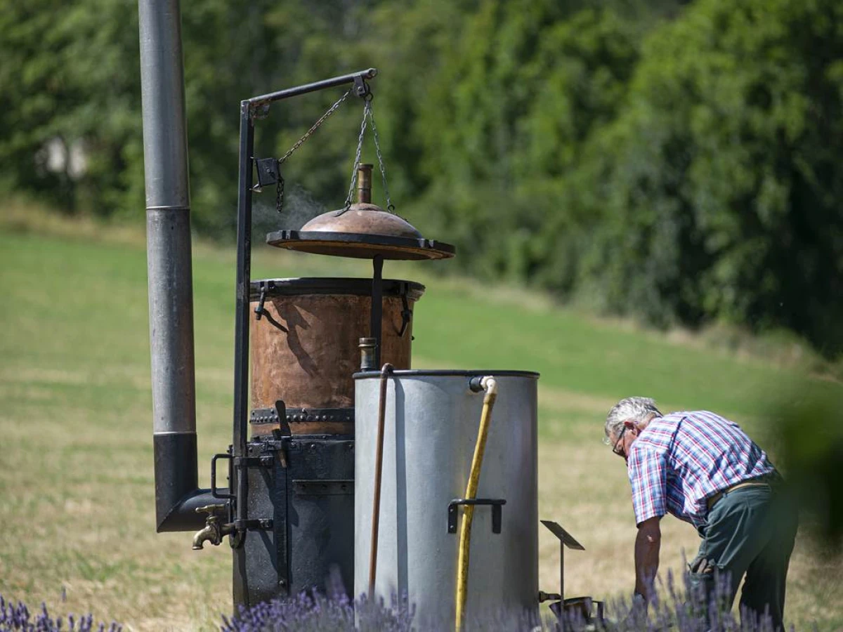 Atelier distillation - Bonjour Fun