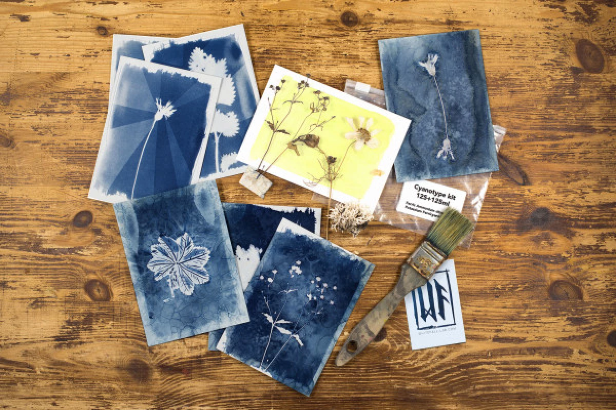 Atelier Photo -Tirage au Cyanotype - Bonjour Fun