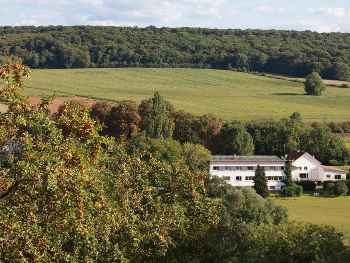 Auberge Du Parc - Bonjour Fun