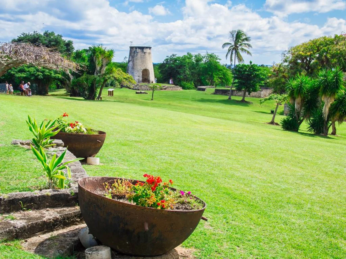 Aventure et Tradition : Navette Maritime vers Marie-Galante - Bonjour Fun