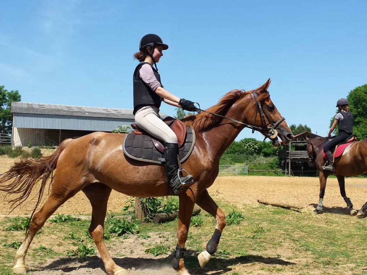 BALADE 3H SPORT EN FORET - Bonjour Fun