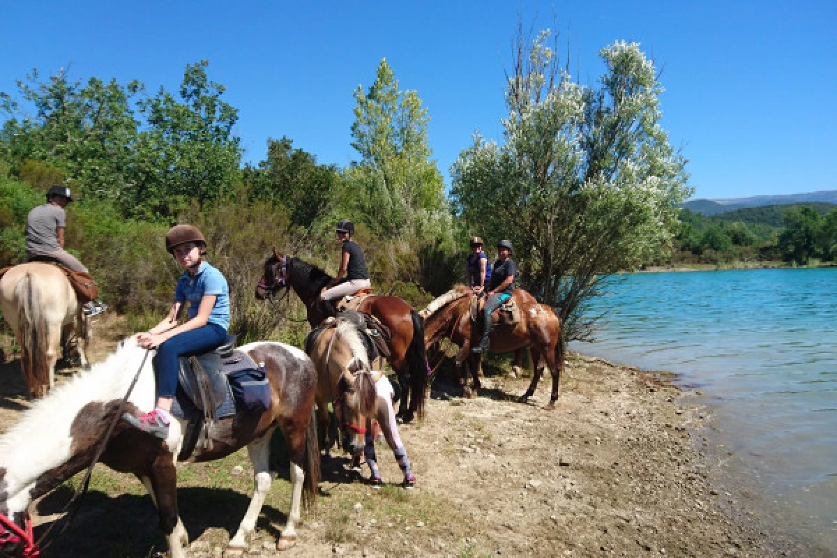 Balade a cheval " 1/2 journée à la cool" - Bonjour Fun