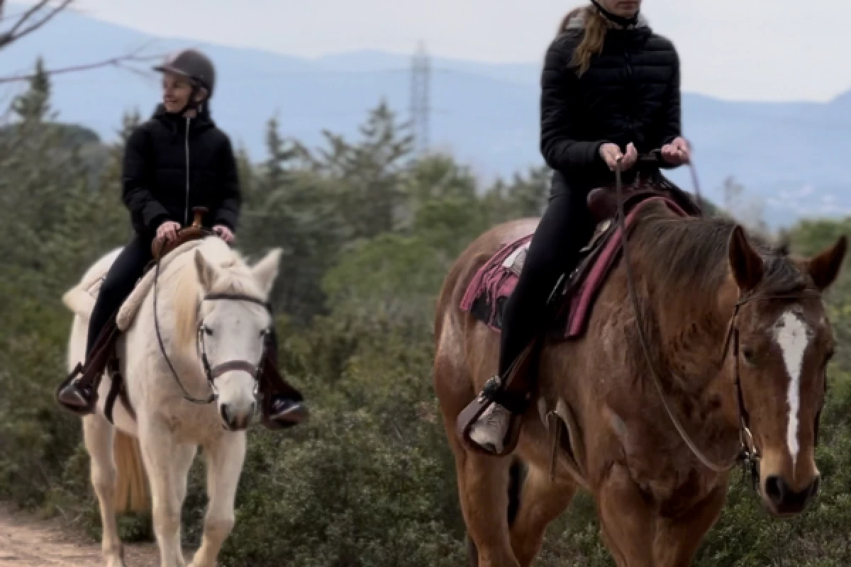 Balade à cheval dans l'Esterel avec dégustation de vin - Bonjour Fun