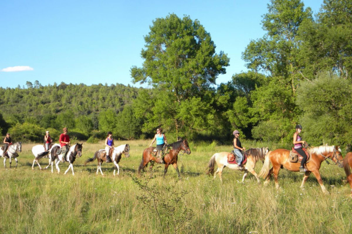 Balade à Cheval - Découverte du Lac de Saint Cassien 2h - Bonjour Fun