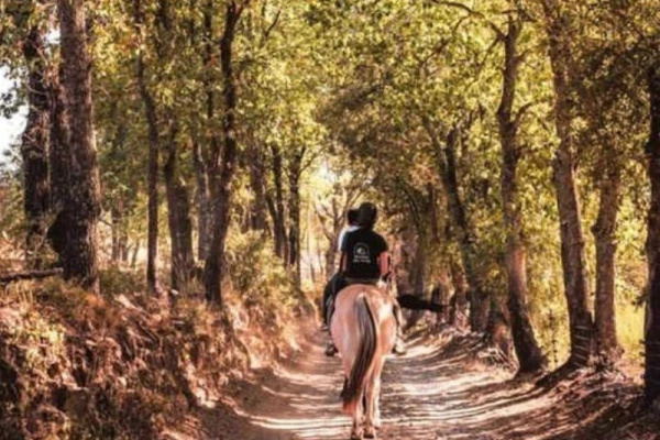 Balade à cheval Grimaud - Bonjour Fun