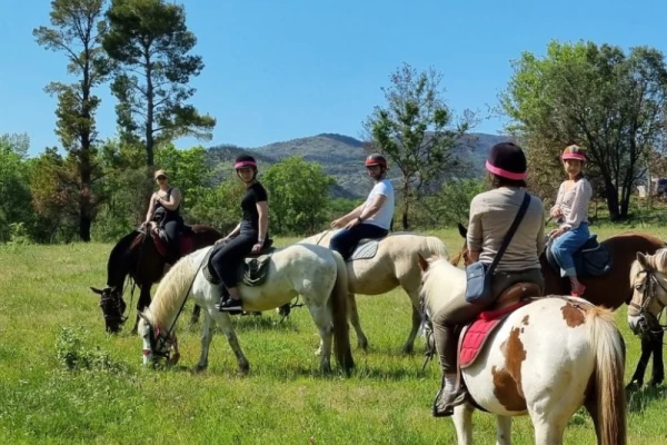 Balade à cheval Grimaud - Bonjour Fun