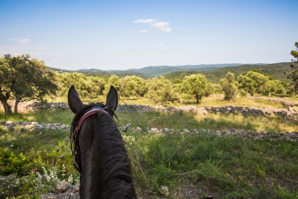 Balade à cheval - Lac de Saint-Cassien - Bonjour Fun