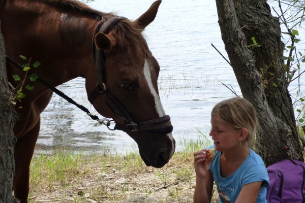 Balade à cheval - Lac de Saint-Cassien - Bonjour Fun