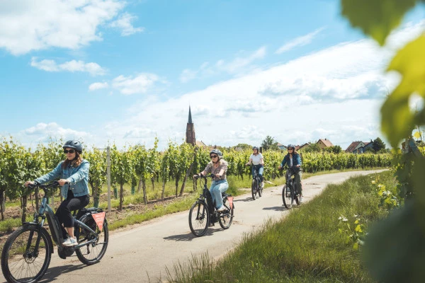 Balade à vélo sur la Route des Vins - Bonjour Fun