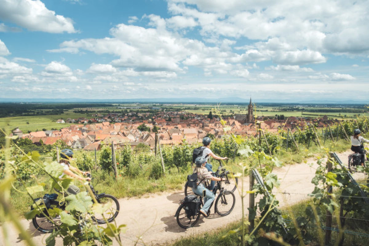 Balade à vélo sur la Route des Vins - Bonjour Fun