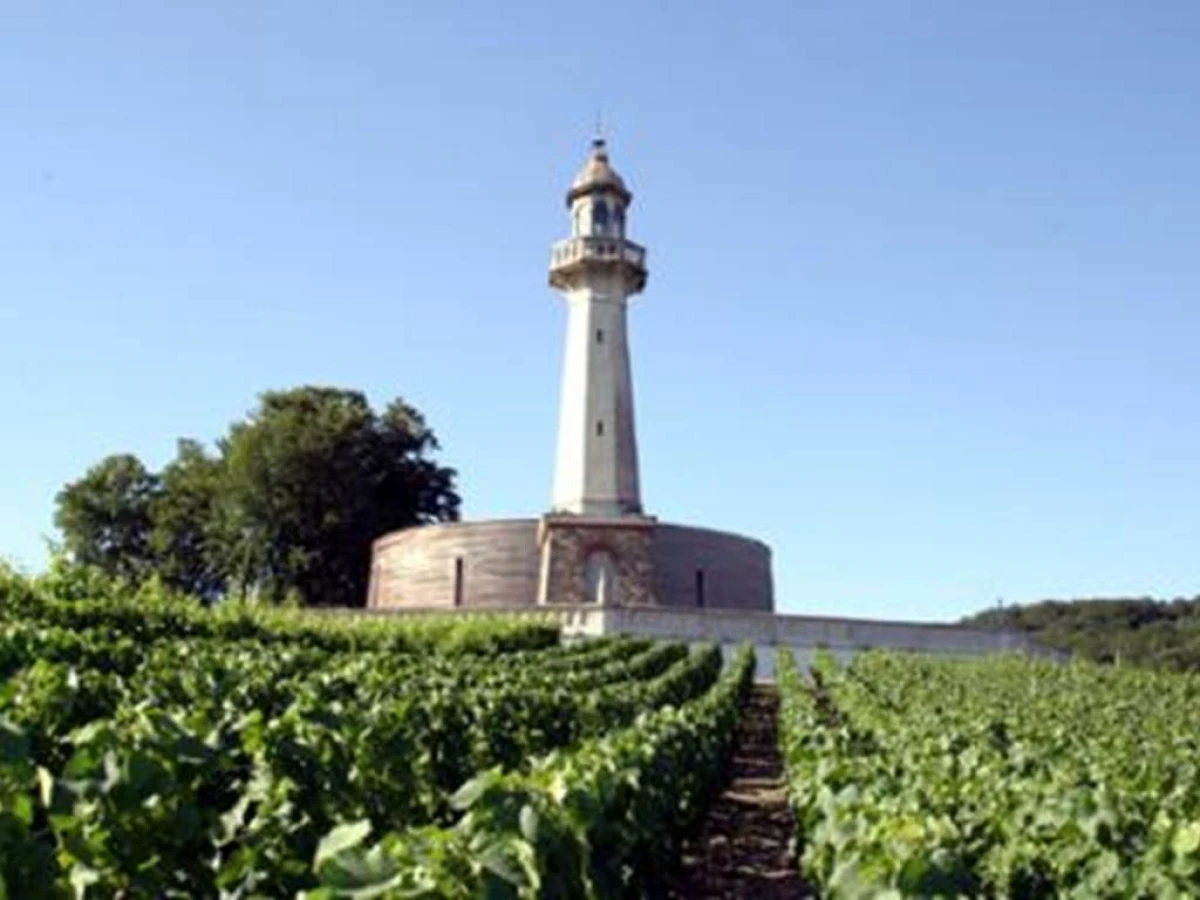 Balade en champagne  sur la route tourisitique  avec dégustation - Bonjour Fun