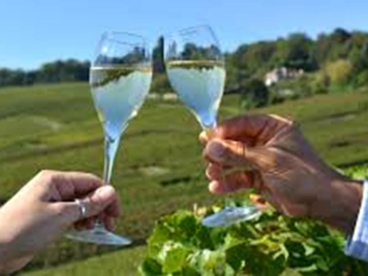 Balade en champagne  sur la route tourisitique  avec dégustation - Bonjour Fun