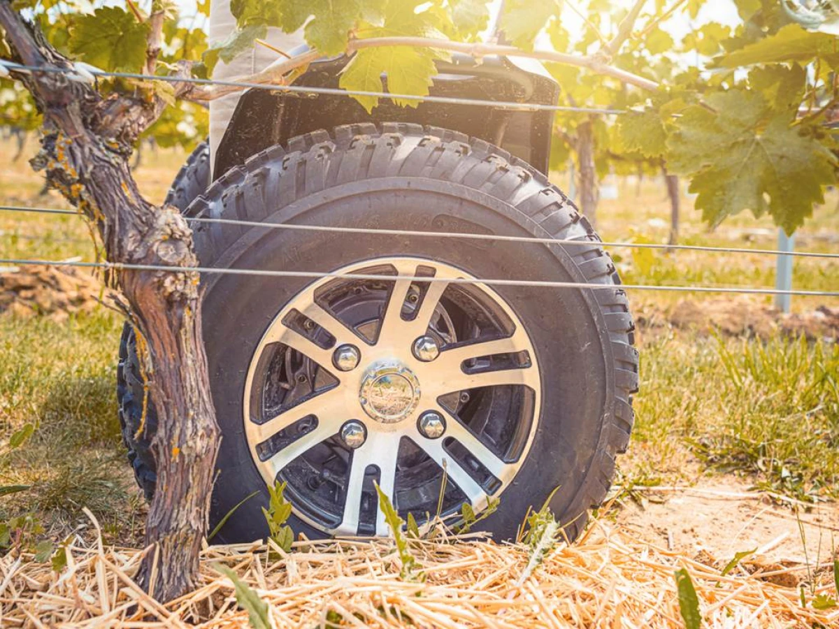 Balade en gyropode ou trottinette électrique dans le vignoble et visite dégustation - Bonjour Fun