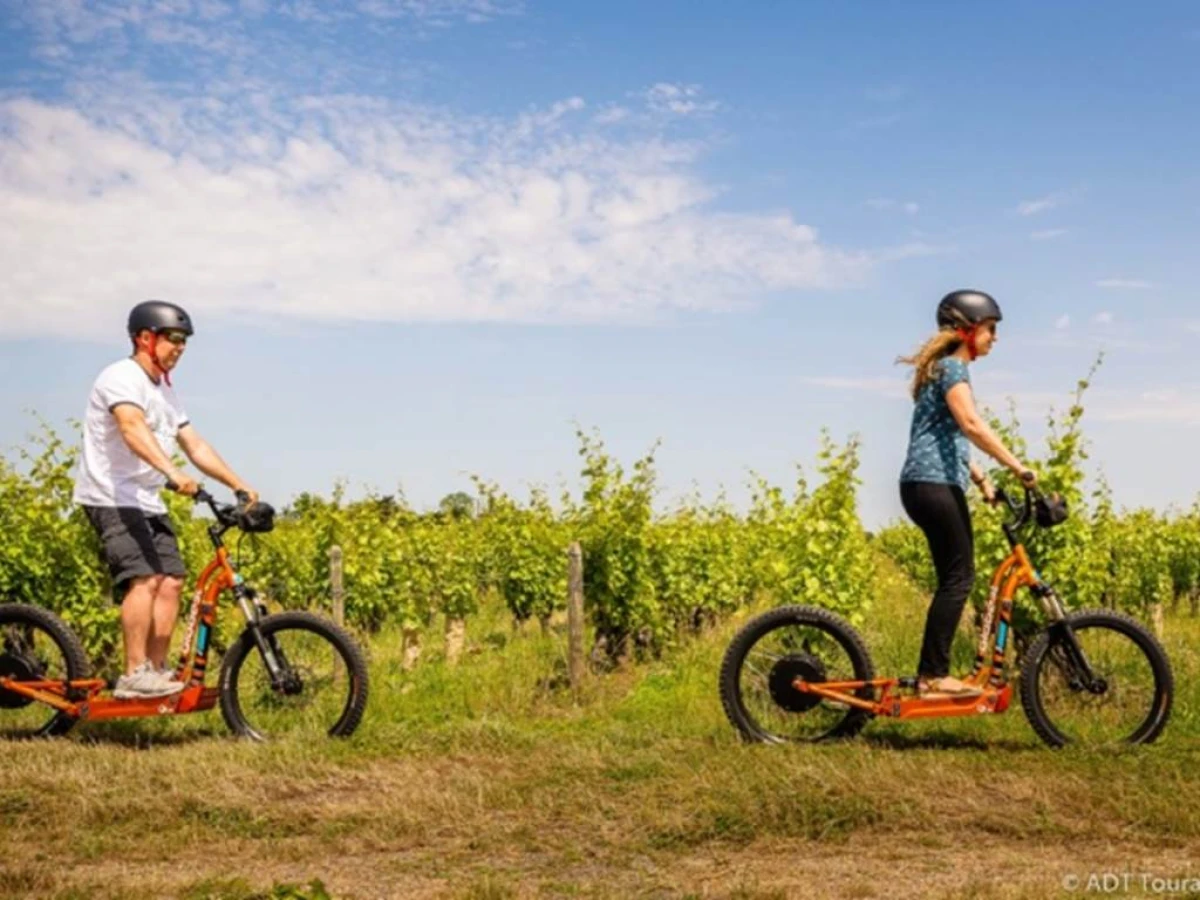 Balade en gyropode ou trottinette électrique dans le vignoble et visite dégustation - Bonjour Fun