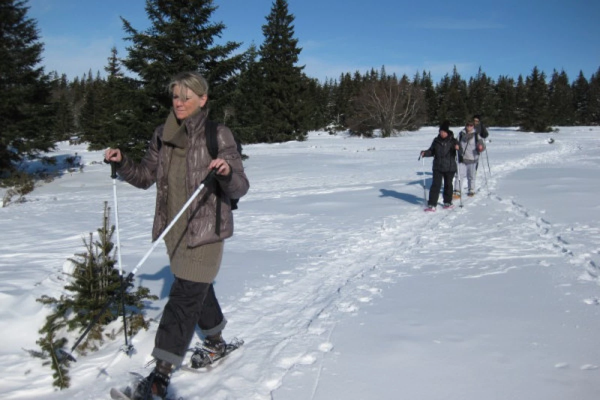 Balade en raquettes à neige à la découverte du Rossberg - Bonjour Fun