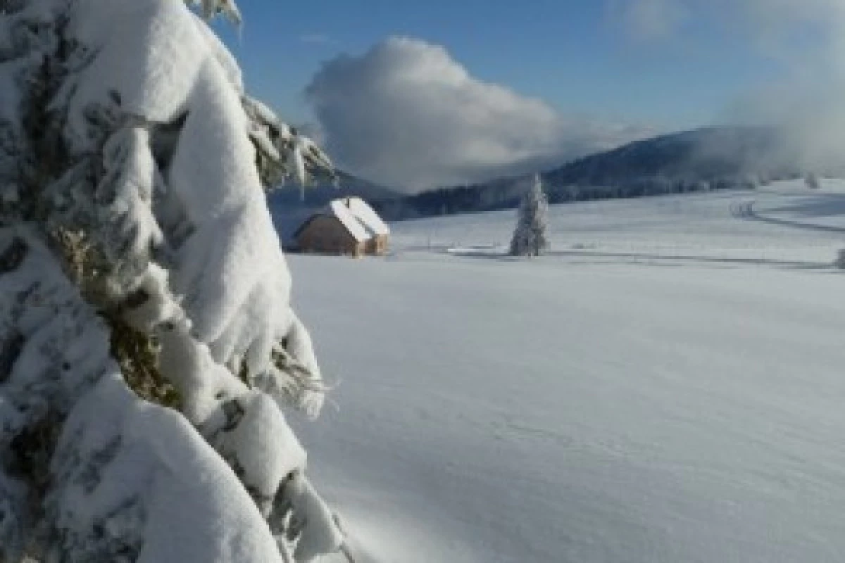 Balade en raquettes à neige au col de la Schlucht 2024 - Bonjour Fun