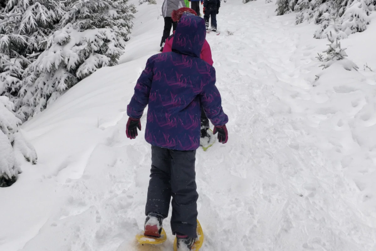 Balade en raquettes à neige avec construction d’igloo - Bonjour Fun